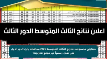 «نتائج مضمونة» نتائج الثالث المتوسط 2025 محافظة بابل الدور الأول متى تعلن رسمياً عبر موقع نتائجنا؟